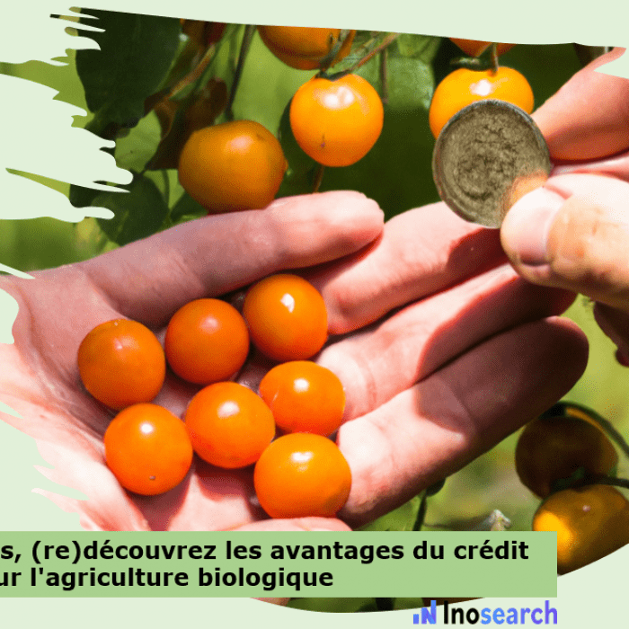Agriculteurs, (re)découvrez les avantages du crédit d’impôt pour l’agriculture biologique